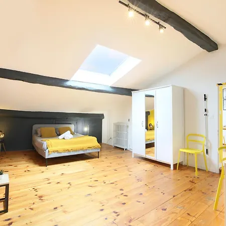 Apartament Expat Renting - L'alcove - - Wifi Tuluza